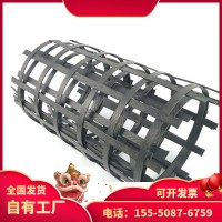 钢塑复合土工格栅 双向钢塑格栅凸结点钢塑土工格栅 GSZ钢塑格栅